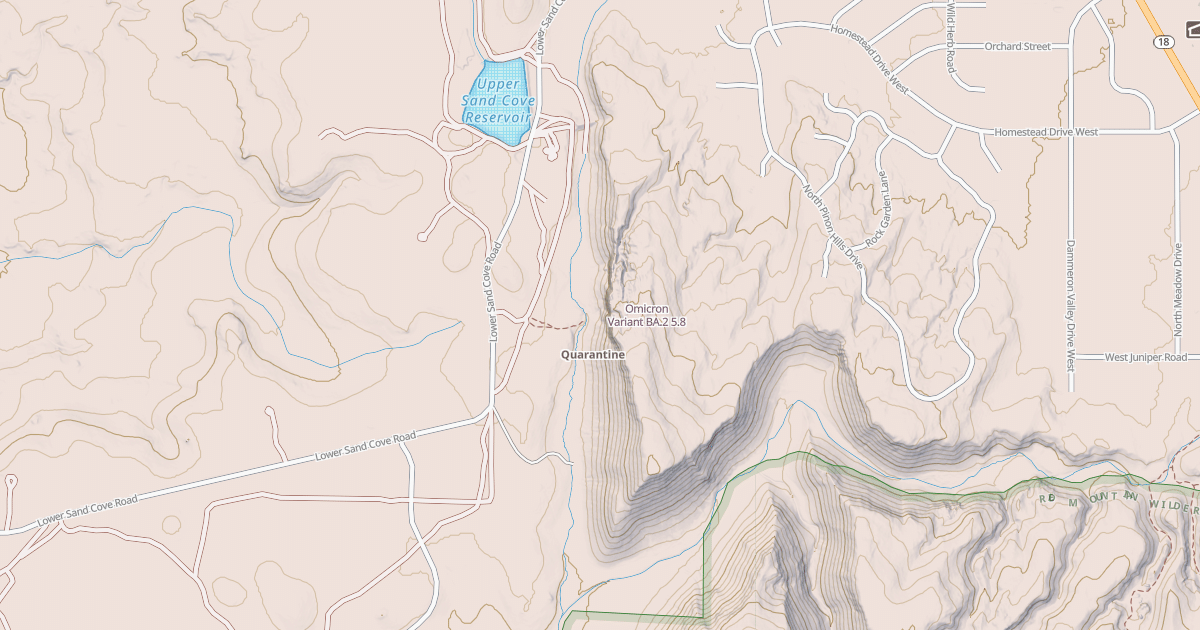 Map preview of Omicron Variant BA.2