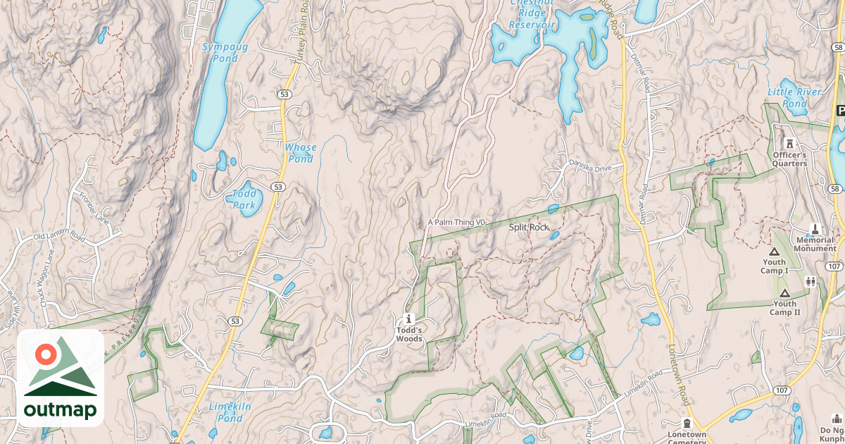 Map of A Palm Thing