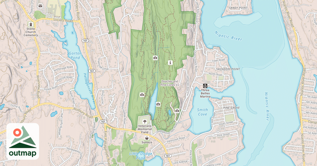 Map of Peaches and Pine Cones