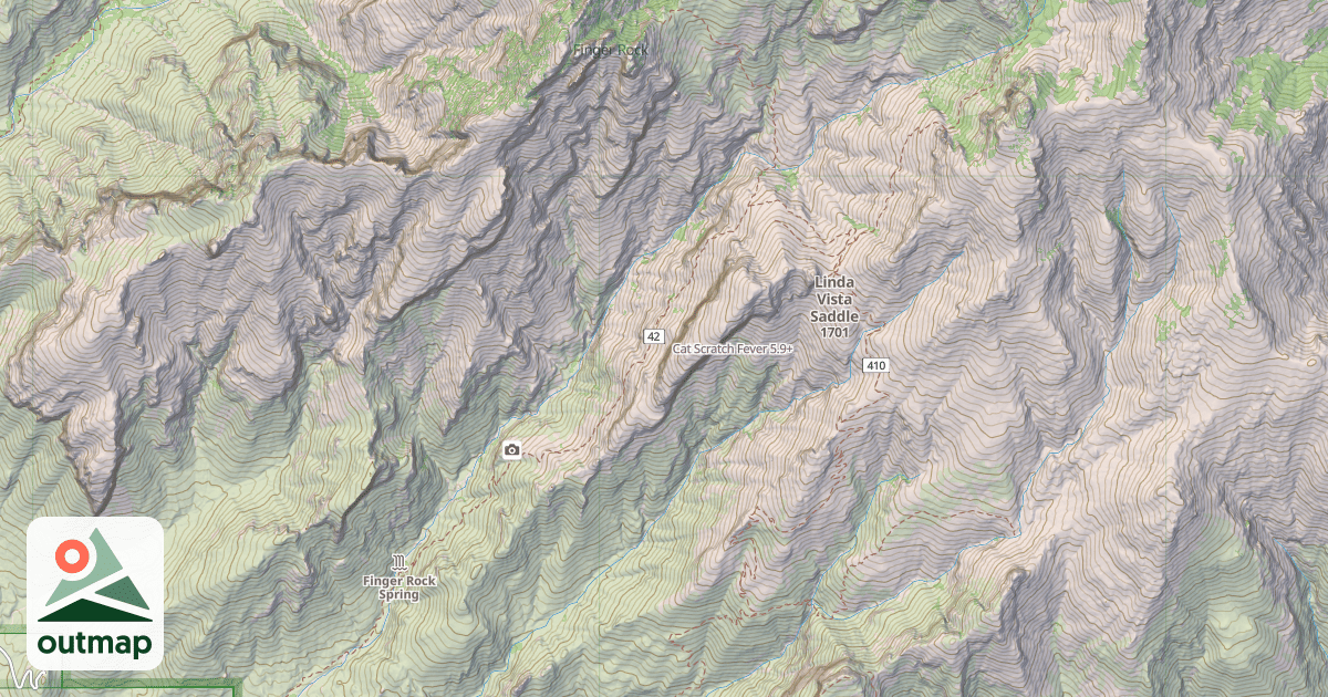 Map of Cat Scratch Fever