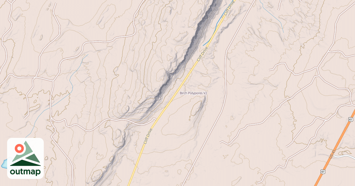 Map of Birch Polypores