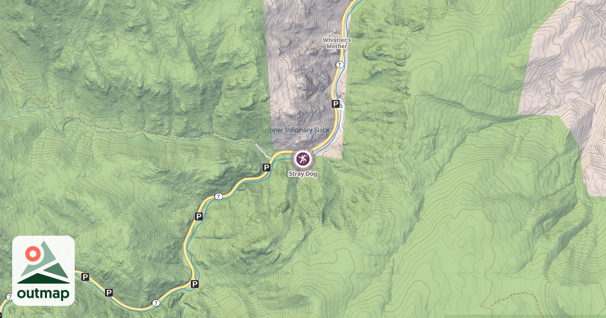 Map of Stray Dog