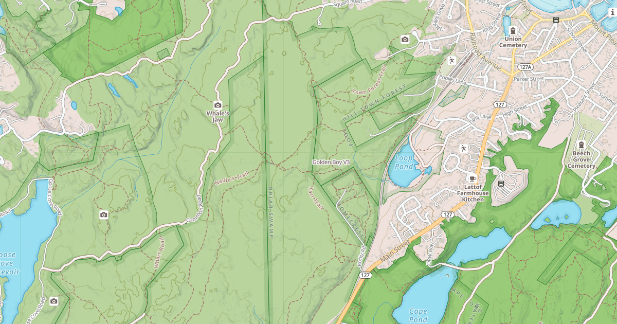 Map preview of Golden Boy
