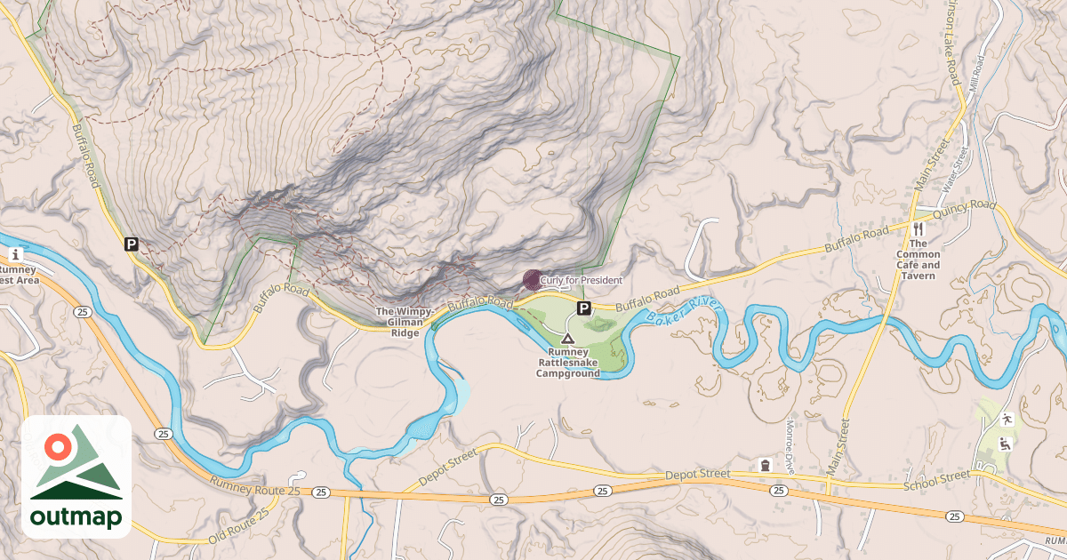 Map of Curly for President