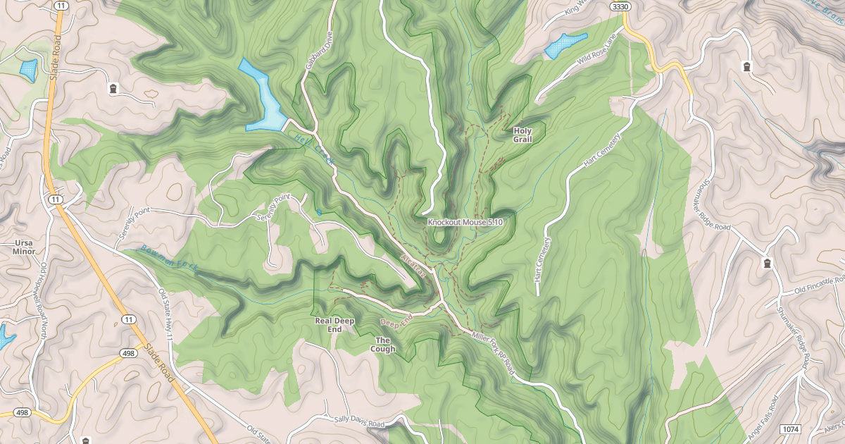 Map preview of Knockout Mouse