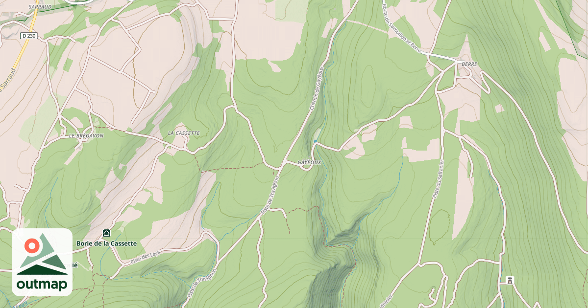 Map of Borie
