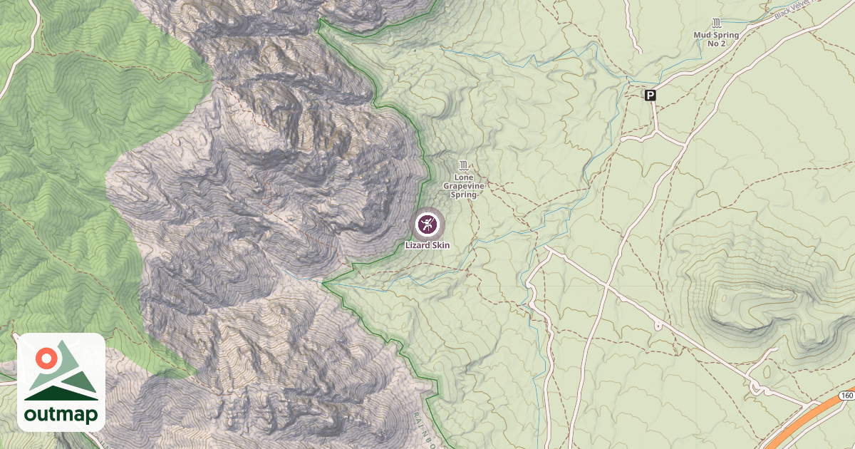 Map of Lizard Skin
