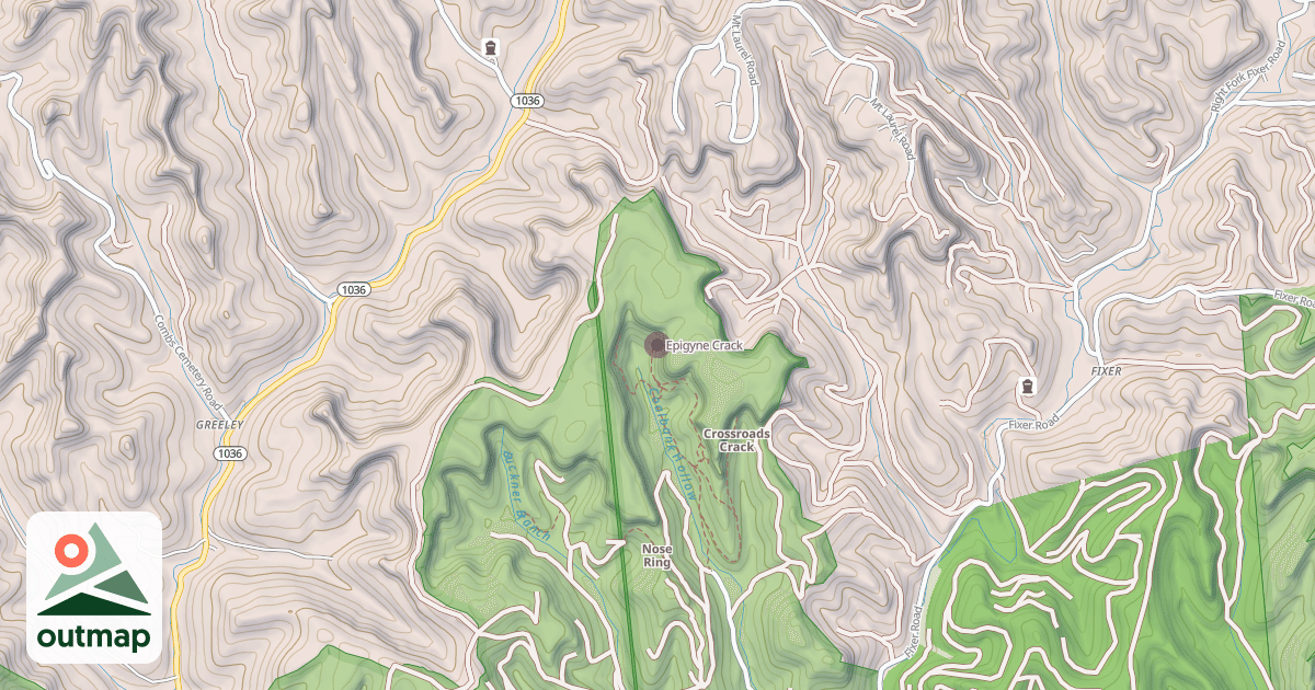 Map of Epigyne Crack