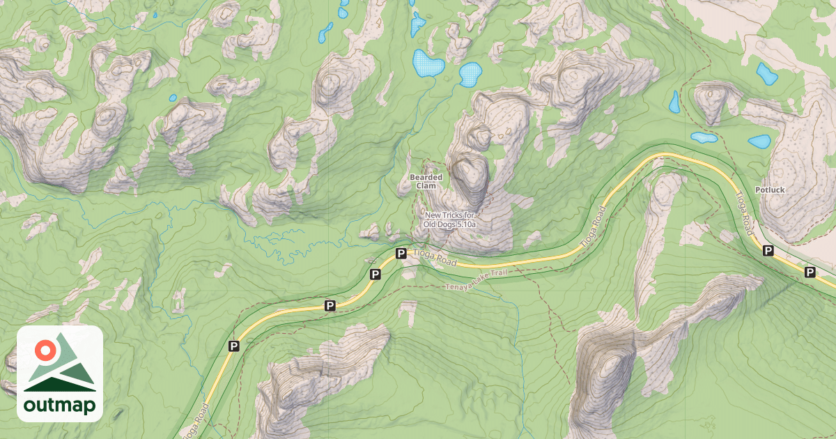 Map of New Tricks for Old Dogs