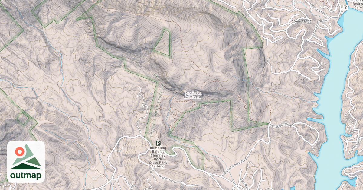 Map of Puppies in the Mist