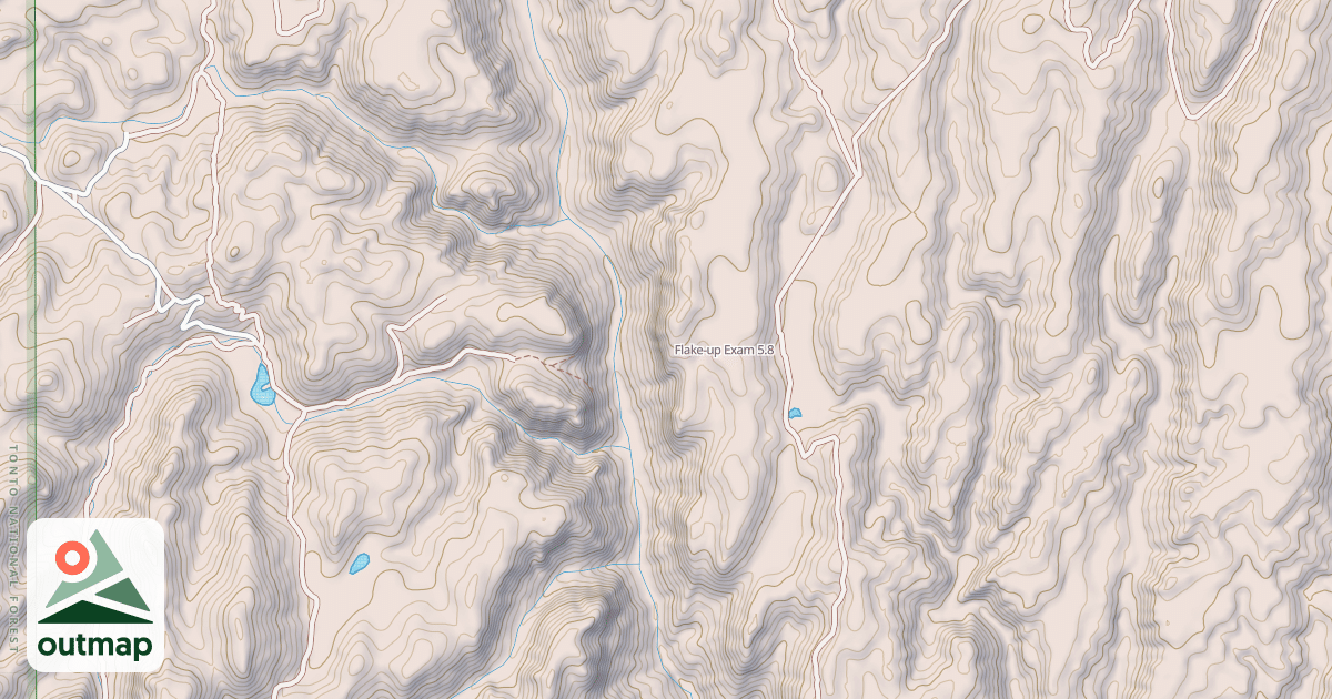 Map of Flake-up Exam
