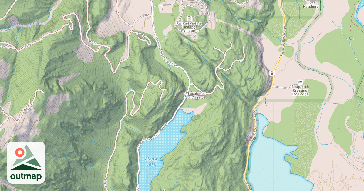 Map of I Thought You Died Alone