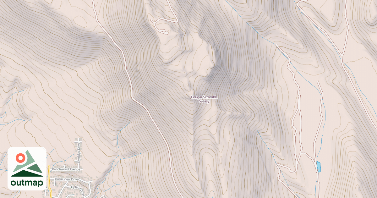 Map of Cougar Scramble