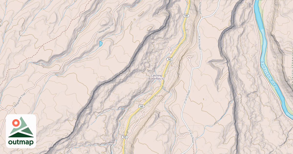 Map of Catching Butterflies
