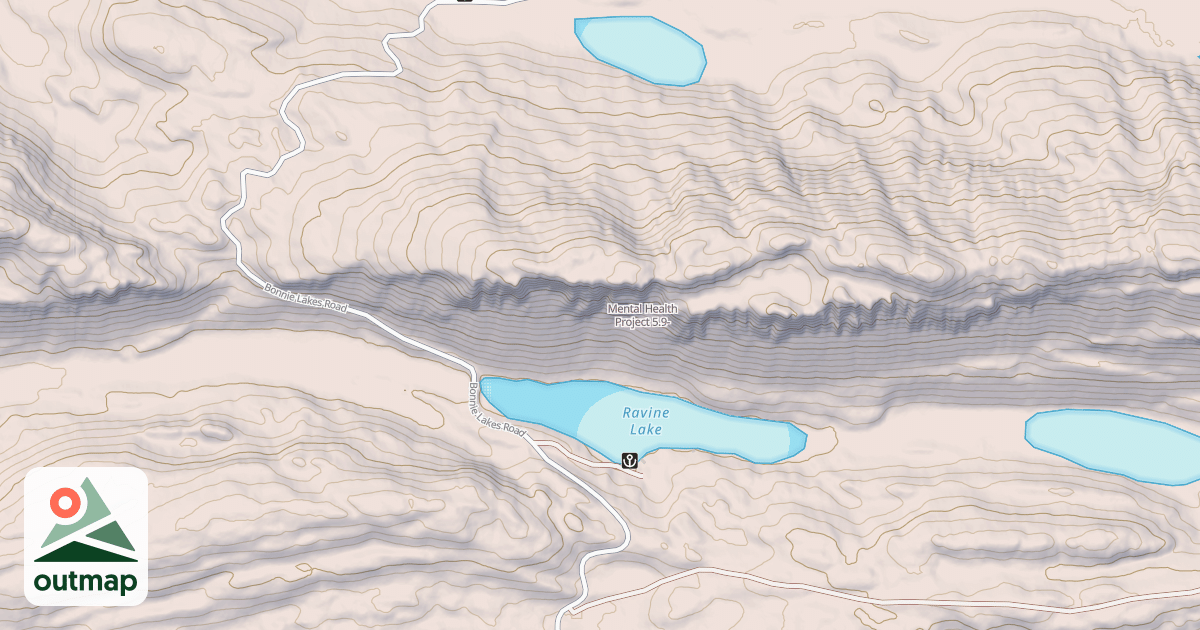 Map of Mental Health Project