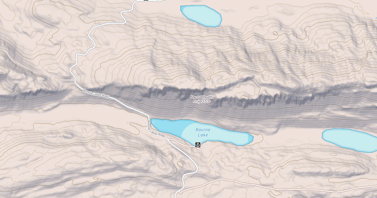 Map preview of Mental Health Project