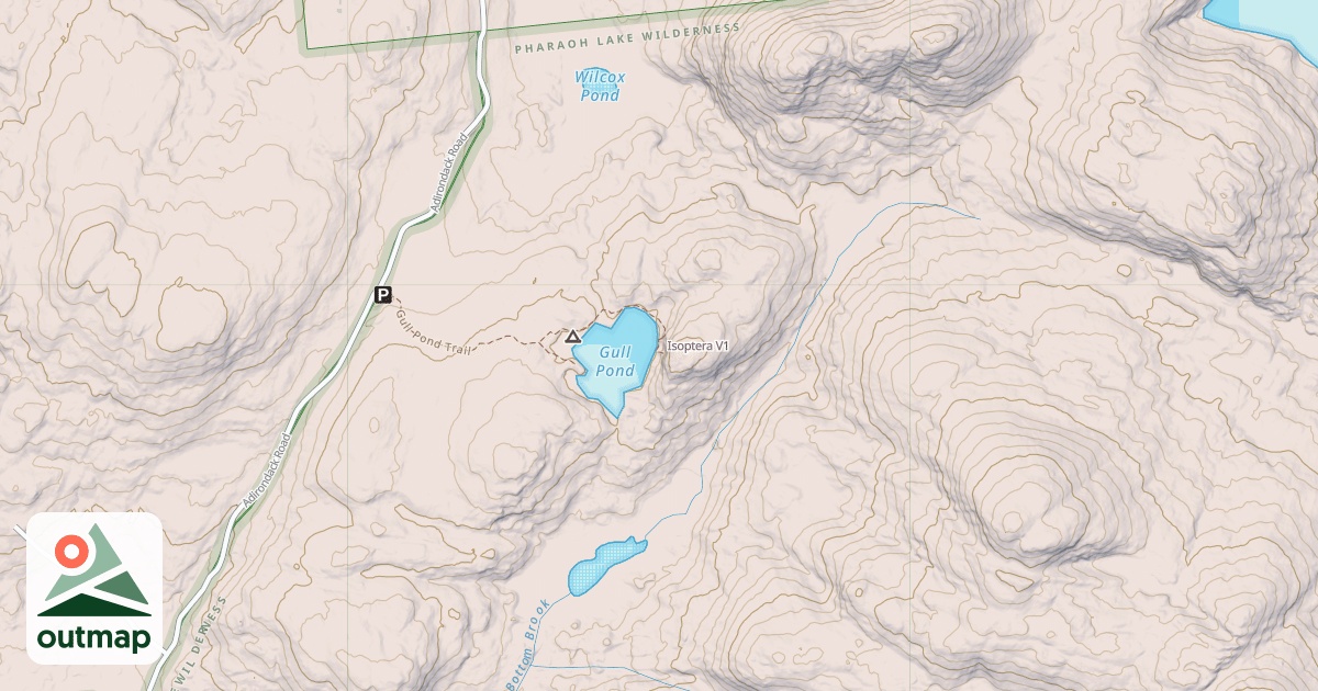 Map of Isoptera