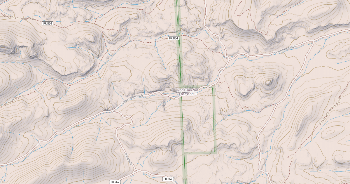 Map preview of Non Dairy Nut Cheese