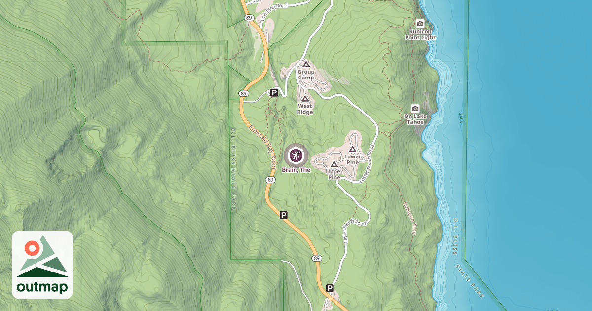 Map of Brain, The