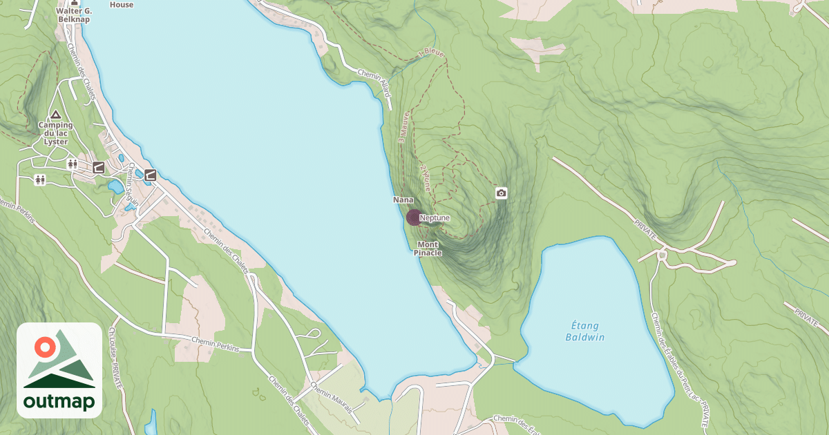 Map of Neptune