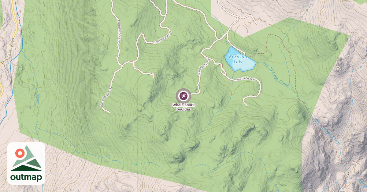 Map of Whale Shark boulder
