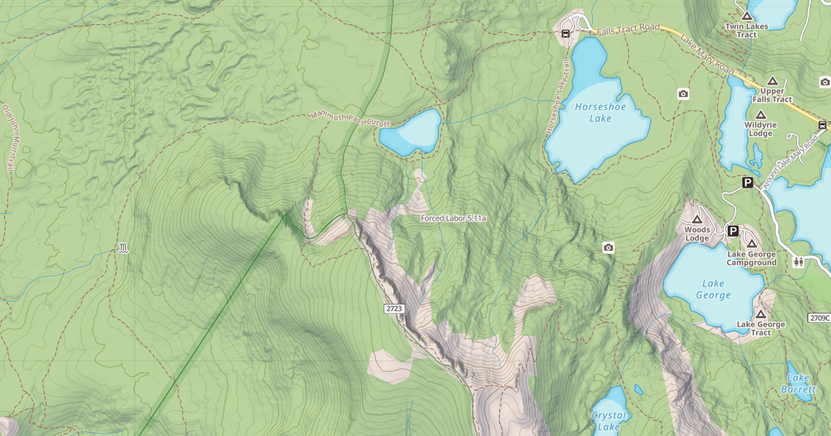Map preview of Forced Labor
