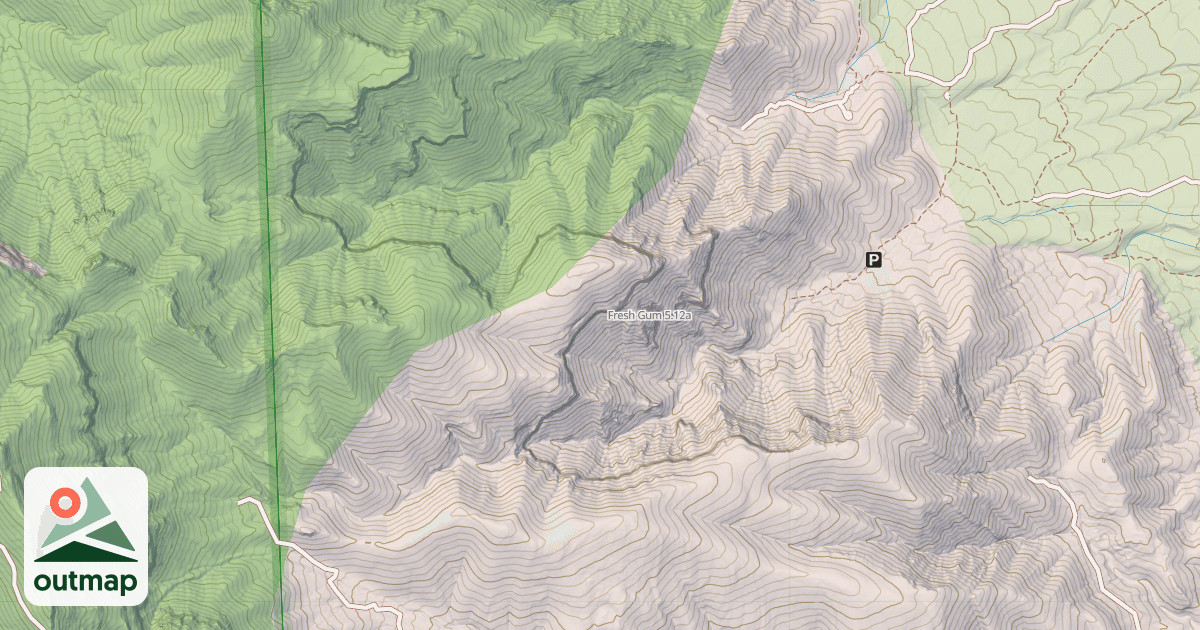 Map of Fresh Gum