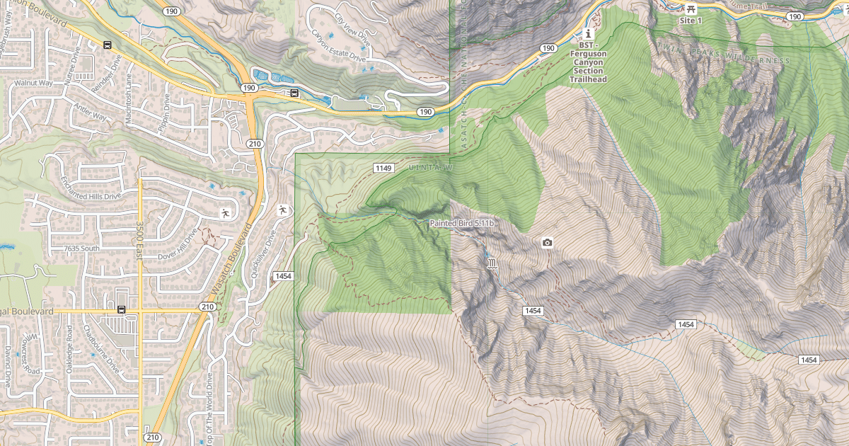Map preview of Painted Bird