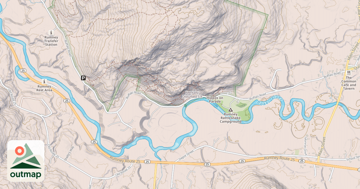 Map of Mentally Disturbed