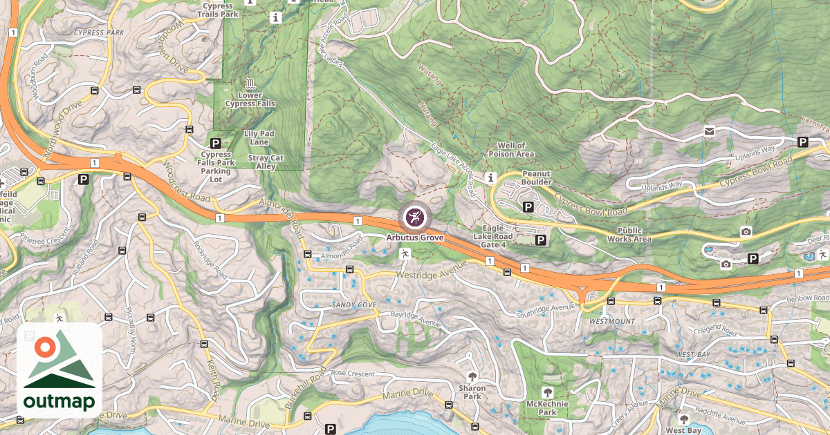 Map of Arbutus Grove
