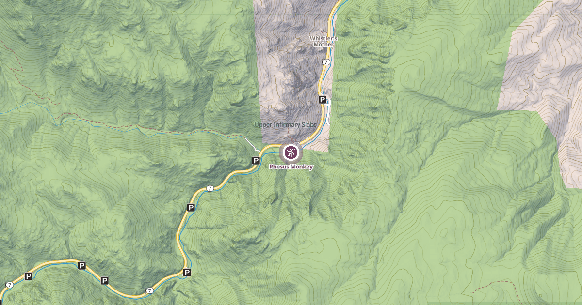 Map preview of Rhesus Monkey