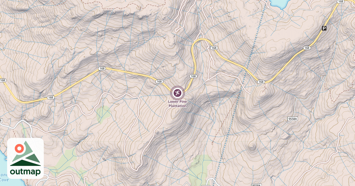 Map of Lower Pine Plantation