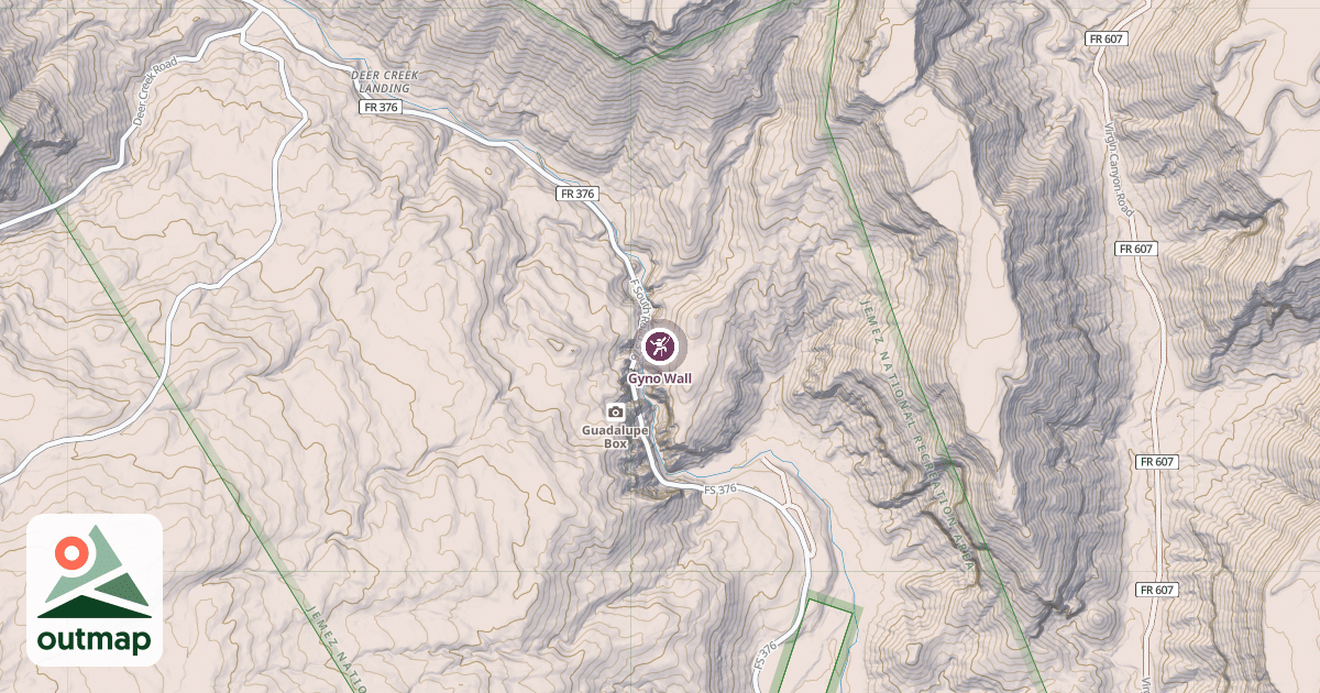 Map of Gyno Wall