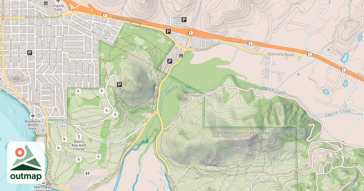 Map of Orb Weaver