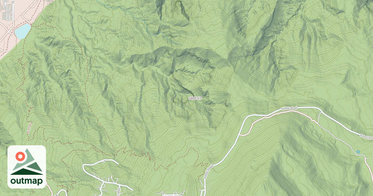 Map of Idiot