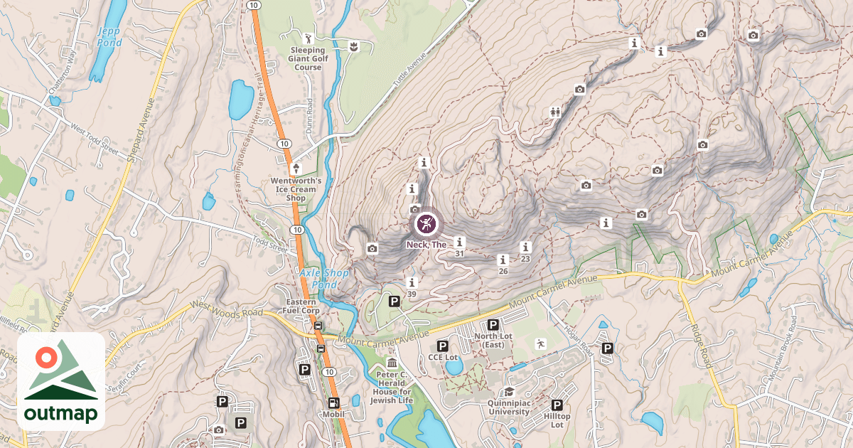 Map of Neck, The