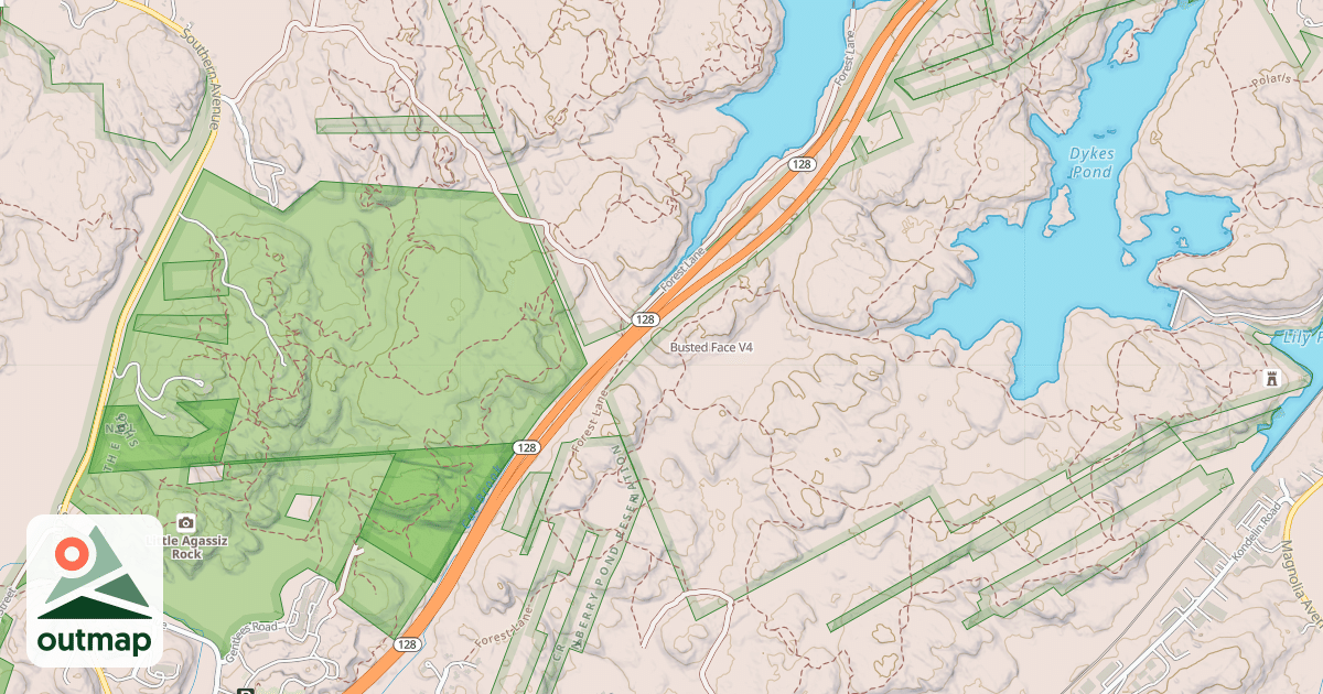Map of Busted Face