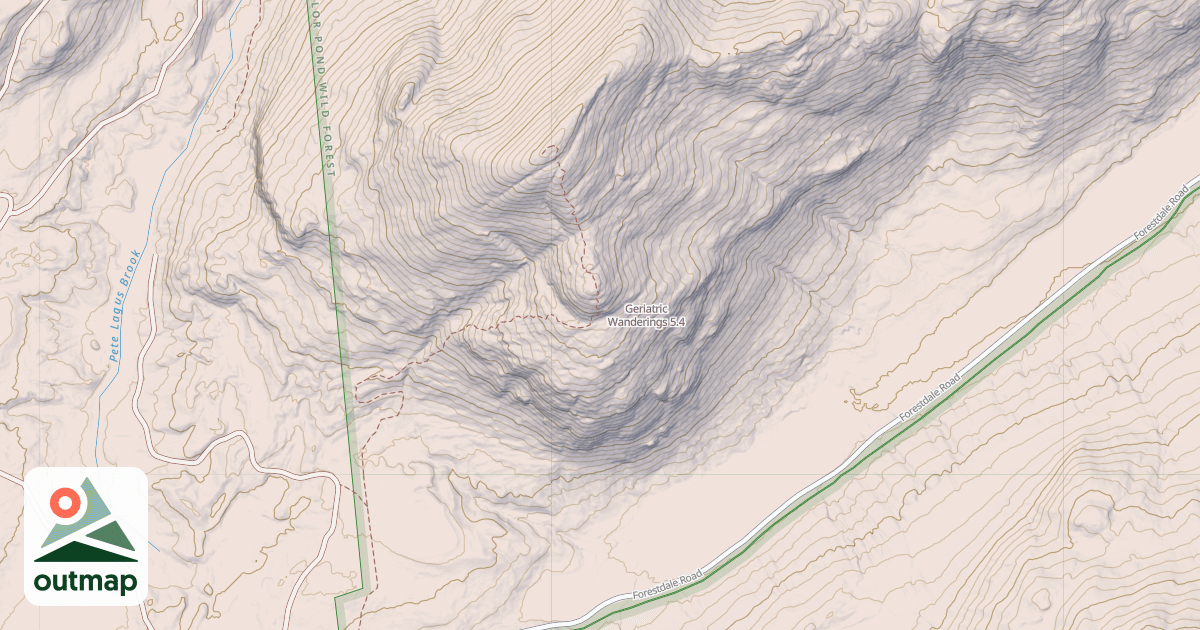 Map of Geriatric Wanderings