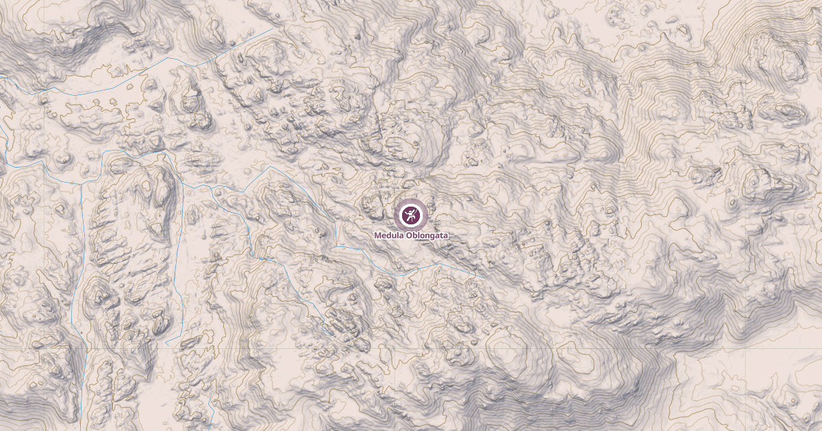 Map preview of Medula Oblongata