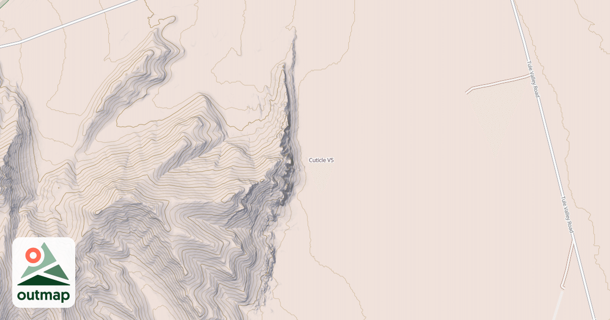 Map of Cuticle