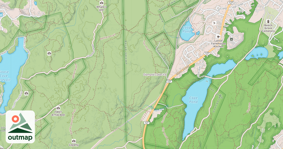 Map of Diamond Cutter