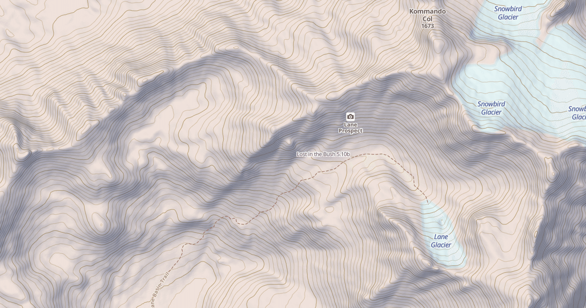 Map preview of Lost in the Bush