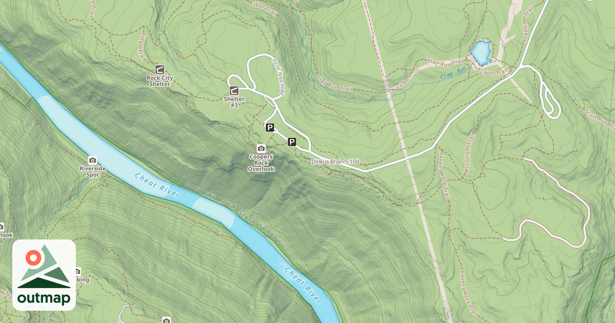 Map of Dinkus Brain