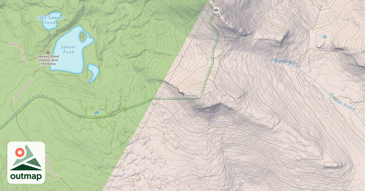 Map of Wingless