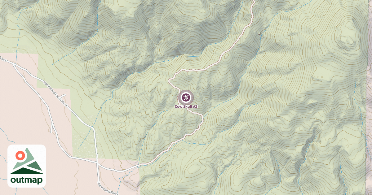 Map of Cow Skull #3