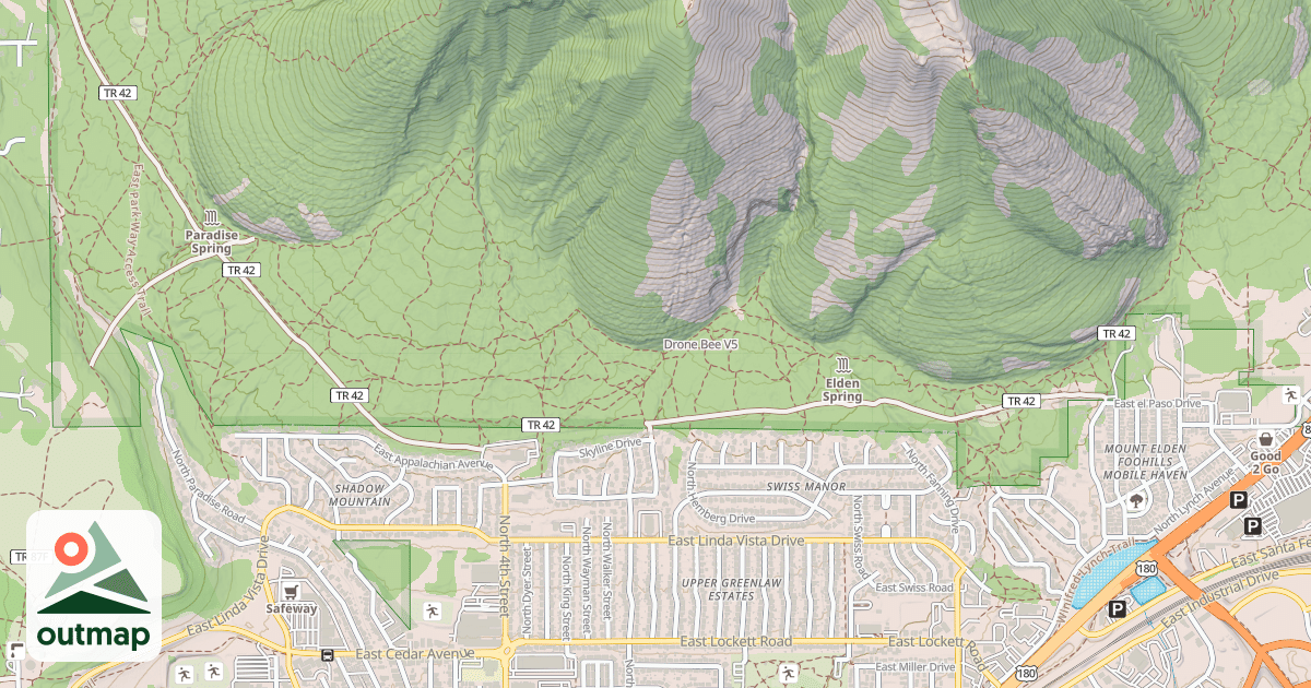 Map of Drone Bee