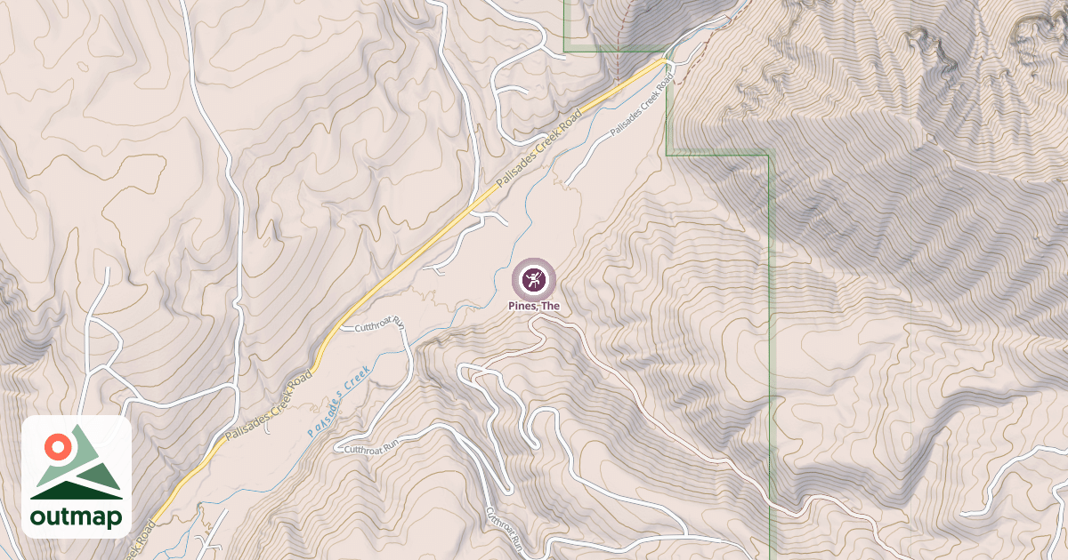 Map of Pines, The