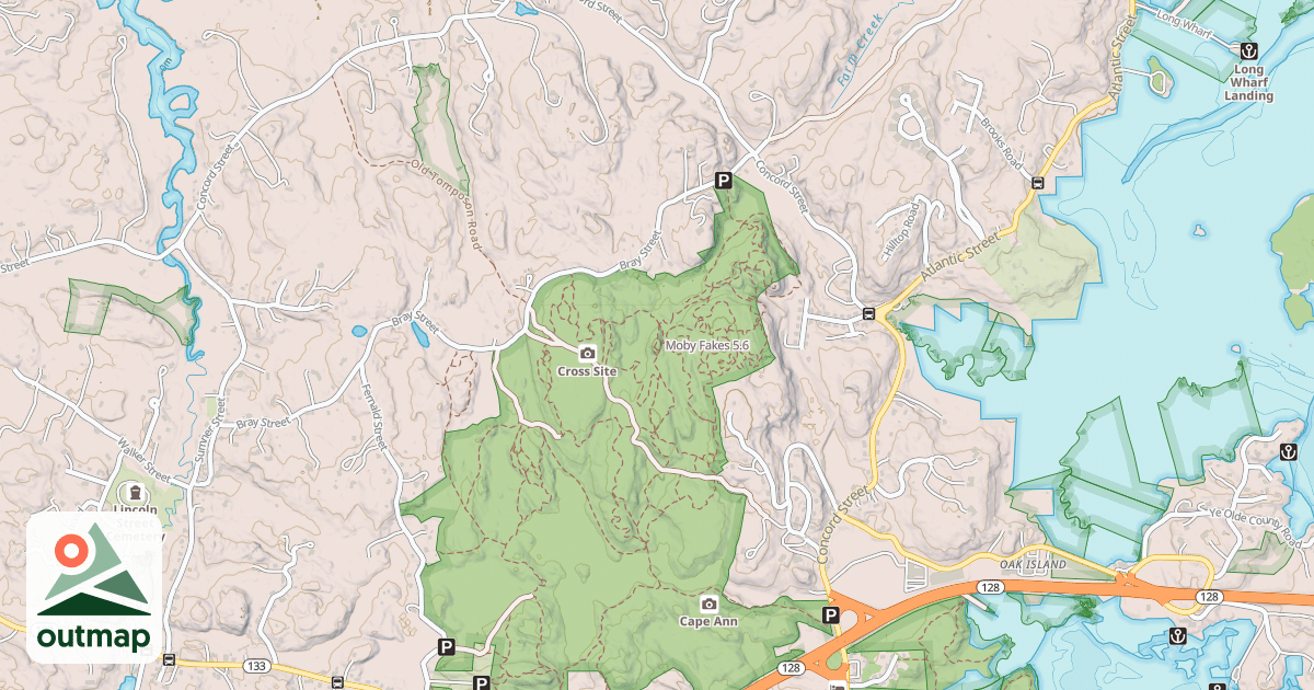 Map of Moby Fakes