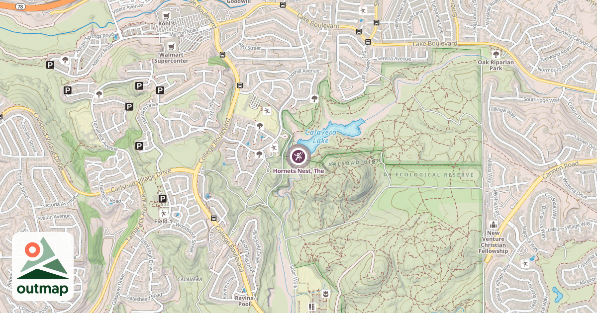 Map of Hornets Nest, The