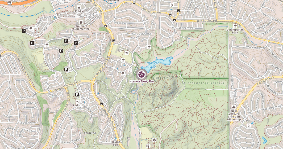 Map preview of Hornets Nest, The